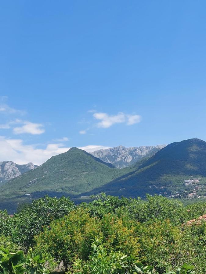 Danin Apartmani Bar Bagian luar foto